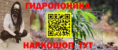 apvp Донской