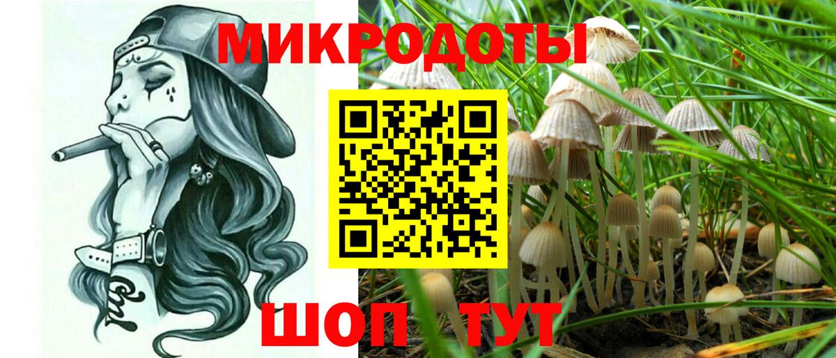 Псилоцибиновые грибы Magic Shrooms Минусинск