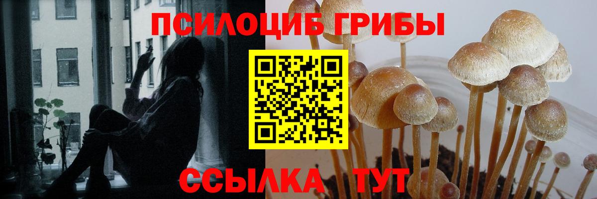 Минусинск  Галлюциногенные грибы мухоморы  даркнет сайт  Псилоцибиновые грибы ЛСД  Вход с VPN 